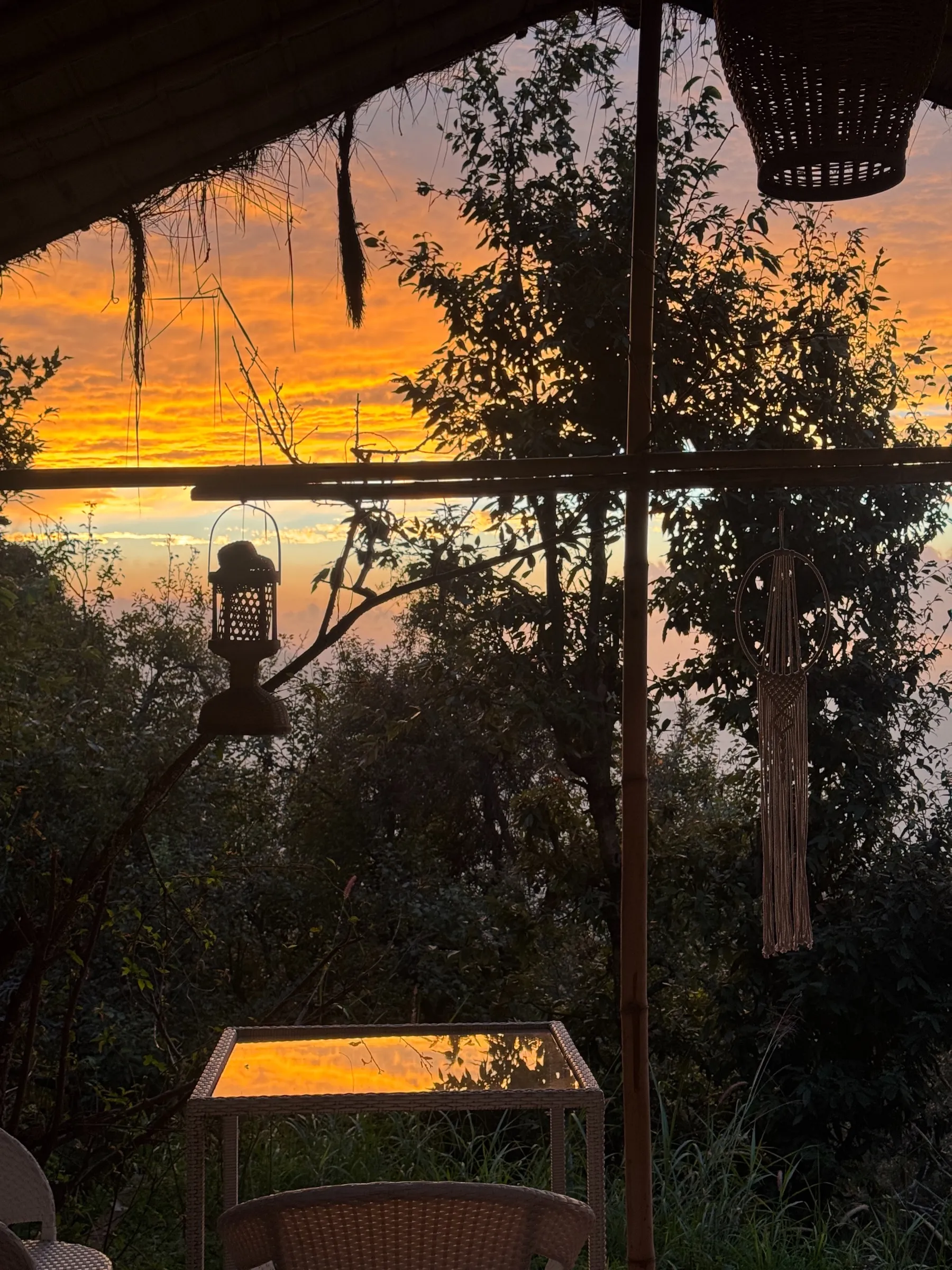 The sky turning orange behind the trees, seen from Turiya